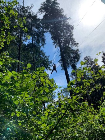 Sommerurlaub Attersee